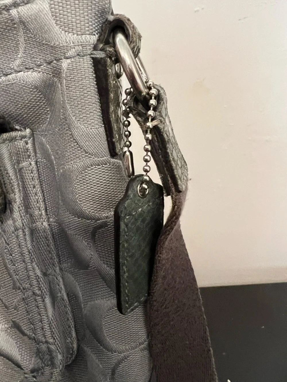 Coach crossbody light